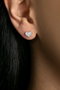 Heliophilia Silver Pendientes de Plata de Ley 925